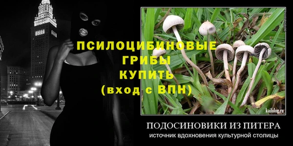 соль курить ск Алзамай