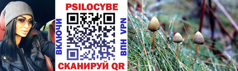 Галлюциногенные грибы Magic Shrooms  Томмот 